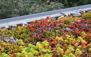 the cost of Witham St Hughs green roof installation