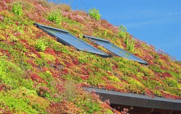 Witham St Hughs living roof systems