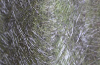 Witham St Hughs fibreglass roof work